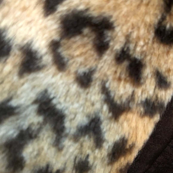 Jacket - Picture 3 of 4